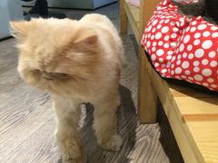 -小时光咖啡馆(开森度假森林店)
