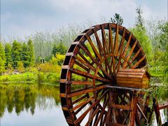 -合肥滨湖国家森林公园