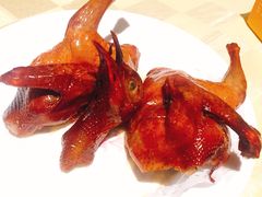 招牌烤乳鸽-石岐佬中山菜馆(张溪店)