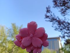 -泓盛花园