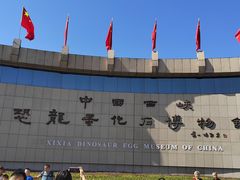 -中国西峡恐龙遗迹园
