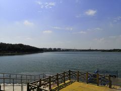 -丁香湖公园
