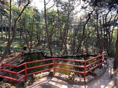 -红螺寺