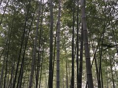 -鑫福楼农家菜