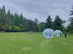 -花溪公园