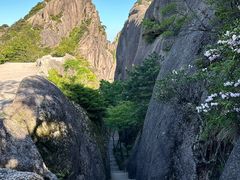 -黄山风景区