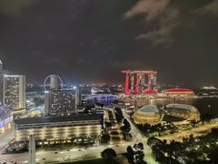 -新加坡瑞士史丹福酒店