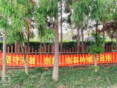 -东平国家森林公园