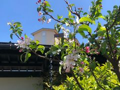 -南紀白浜 浜千鳥の湯 海舟