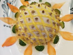 -丁老爷子苏香圆