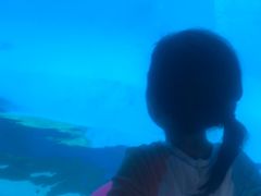 -横琴湾水世界