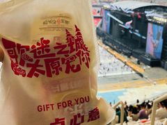 -山西体育中心红灯笼体育场