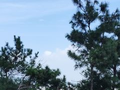 -仙岳公园