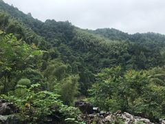 -合肥生态公园