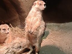 -苏州海洋馆