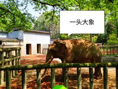 -杭州动物园