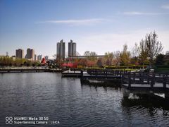-绿岛公园(滨海新区)