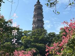 -顺峰山公园