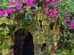 -杭州黄龙洞