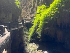 -龙水峡地缝景区