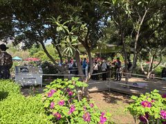 -洛阳市隋唐城遗址植物园