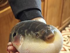 -永安鱼庄·镇江菜(丁卯店)