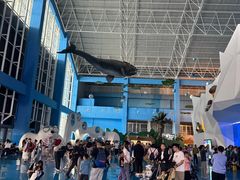 -泉城欧乐堡海洋极地世界