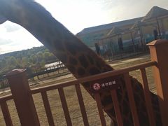 -鄂尔多斯野生动物园