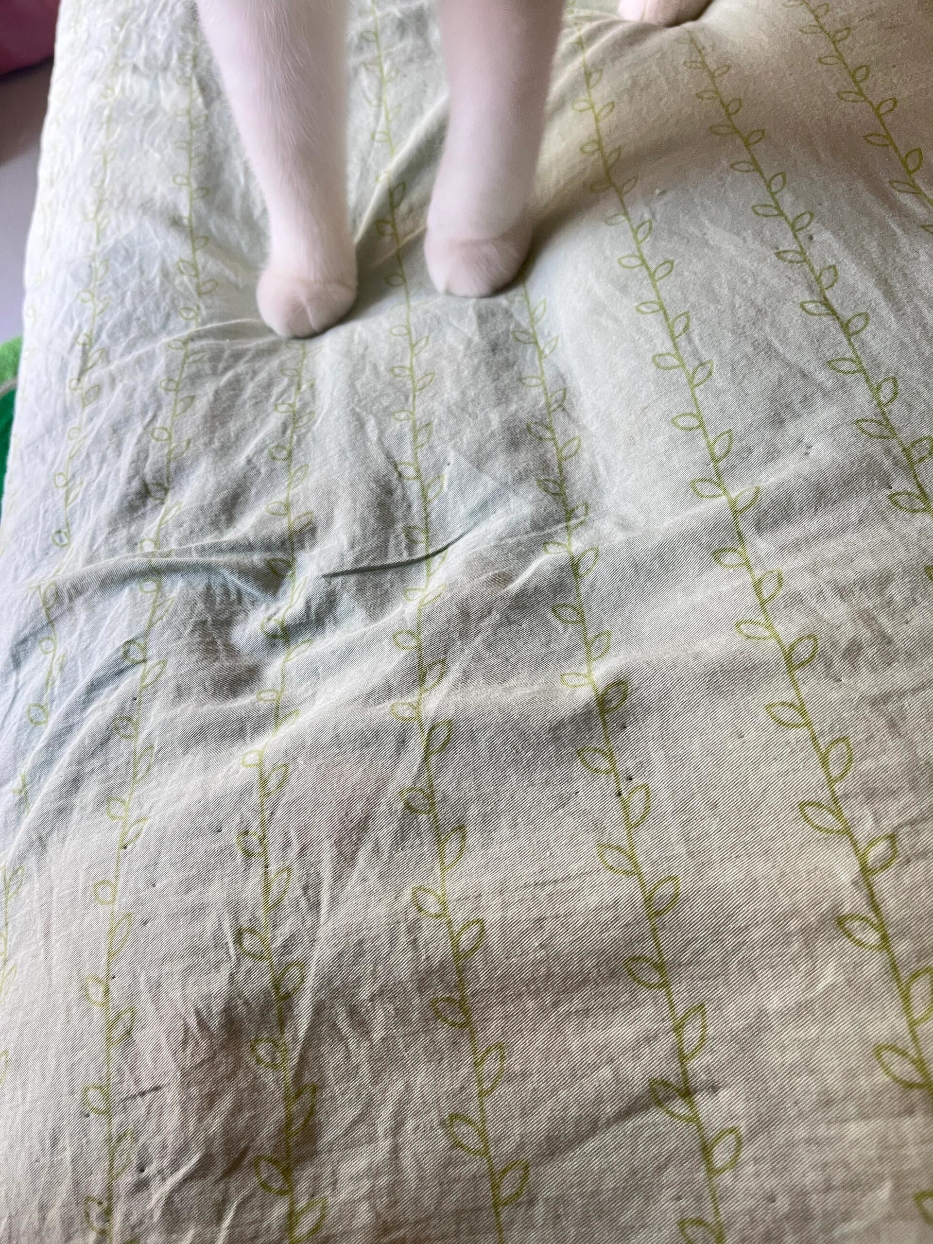 家里的床单怎么会这样啊?在线求!