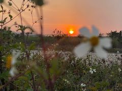 -蔡社牛肉城(龙湖店)