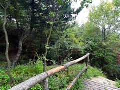 -嵖岈山风景区