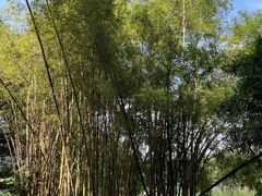 -华南国家植物园-售票处