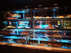 水产区-彩福皇宴(皇室堡店)