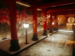 -蓝鲸湾汤泉(包河店)