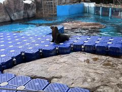 -海合安成都极地海洋公园
