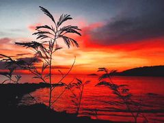 -Sunset Bar(丹绒亚路香格里拉店)