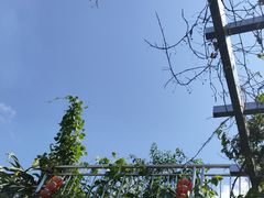 -腾冲云峰山