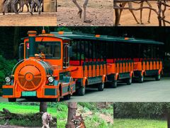 -杭州野生动物世界