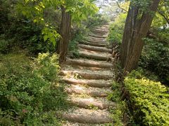 -大连植物园