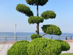 -大连海昌东方水城