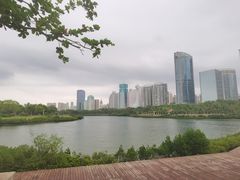 -万绿园