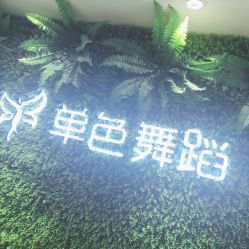-单色舞蹈