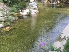 -牛背梁国家森林公园