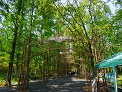 -东平国家森林公园