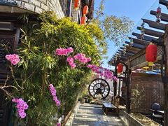-慢丽江·云南野生菌土鸡锅(付家庄店)