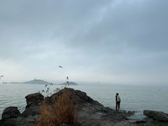 -上海市保健医疗中心