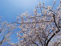 -西北湖绿化广场