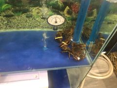 -小贝壳酒楼(经九路店)