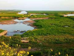 -湖南东洞庭湖国家级自然保护区