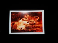 -罗红摄影艺术馆